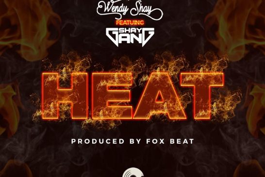 Wendy Shay releases 'Heat' music video